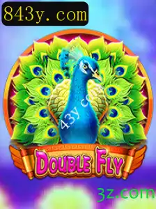 DoubleFly: Um Vislumbre Profundo no Mundo do Jogo